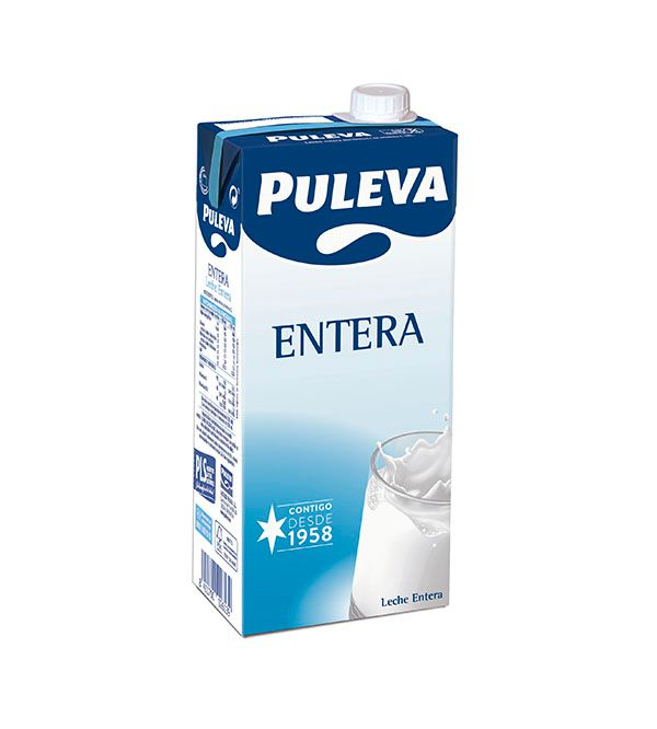 PULEVA ENTERA BRIK C6