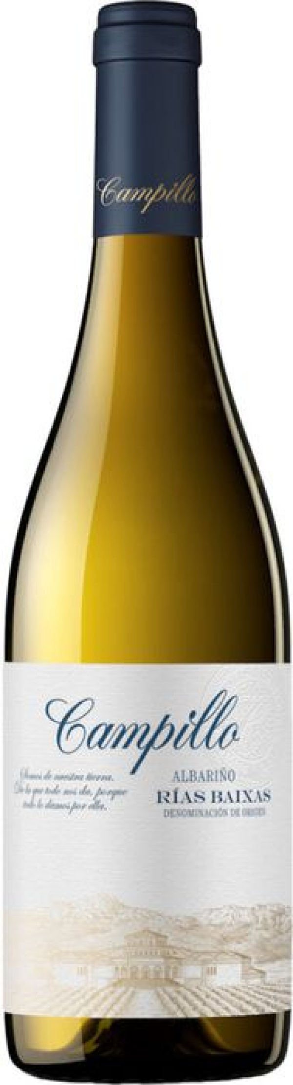 CAMPILLO ALBARIÑO C6