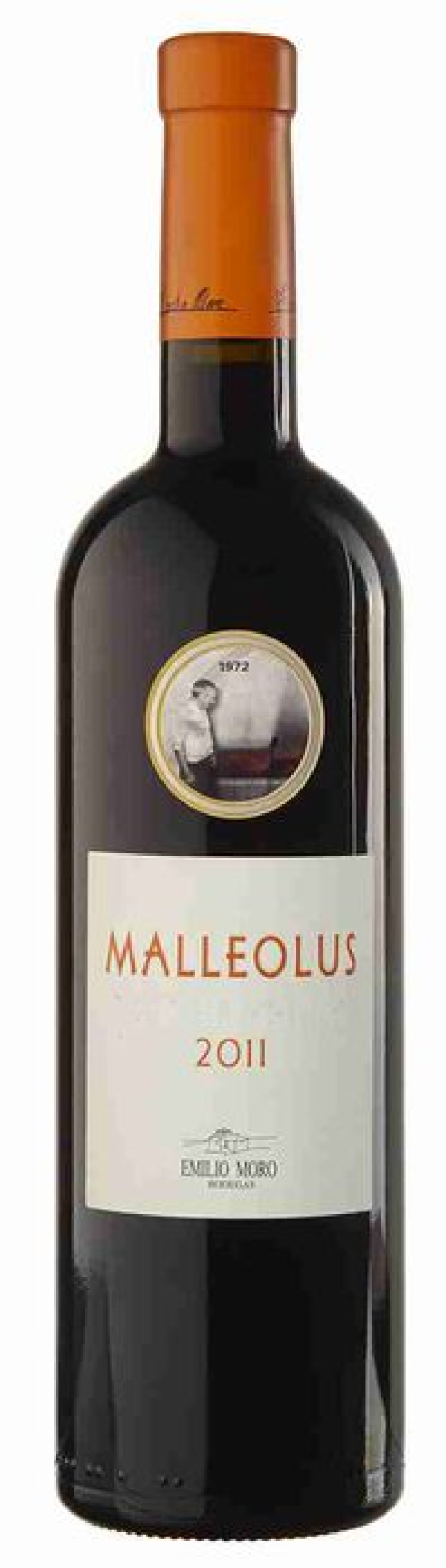 MALLEOLUS ALT EXR C6